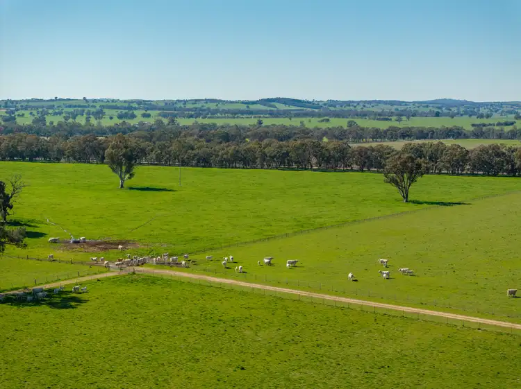 2018 Henty Cookardinia Road, Cookardinia NSW 2650