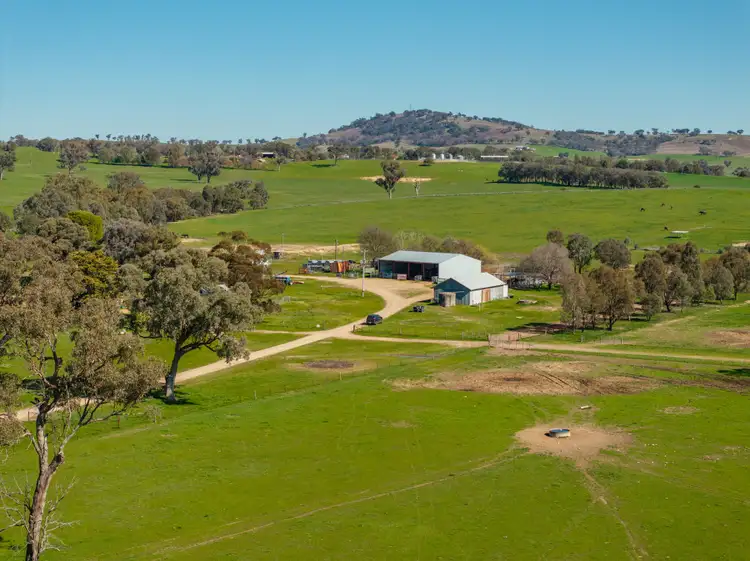 Third view of Homely rural property listing, 2018 Henty Cookardinia Road, Cookardinia NSW 2650