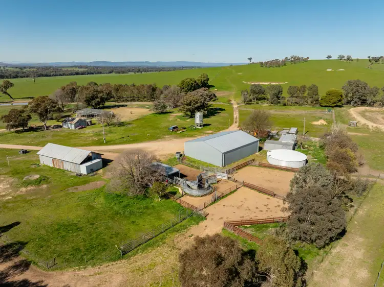 Fourth view of Homely rural property listing, 2018 Henty Cookardinia Road, Cookardinia NSW 2650
