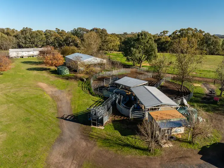 Third view of Homely rural property listing, 467 Rankins Lane, Holbrook NSW 2644