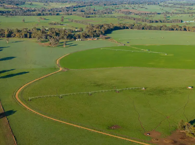 Fourth view of Homely rural property listing, 467 Rankins Lane, Holbrook NSW 2644