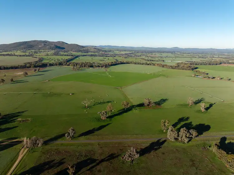 Sixth view of Homely rural property listing, 467 Rankins Lane, Holbrook NSW 2644