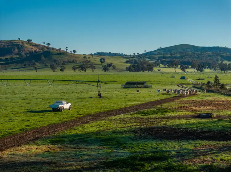 Seventh view of Homely rural property listing, 467 Rankins Lane, Holbrook NSW 2644