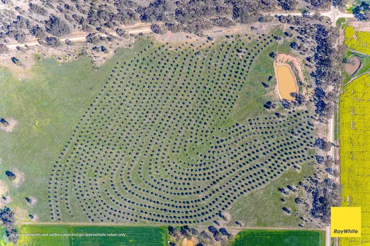 Third view of Homely land listing, 1 Corner of Nixons Road & Neivandts Road, Shelbourne VIC 3515