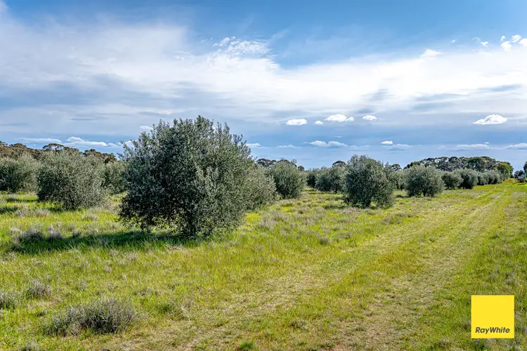 Sixth view of Homely land listing, 1 Corner of Nixons Road & Neivandts Road, Shelbourne VIC 3515