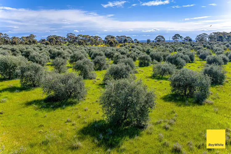 Seventh view of Homely land listing, 1 Corner of Nixons Road & Neivandts Road, Shelbourne VIC 3515
