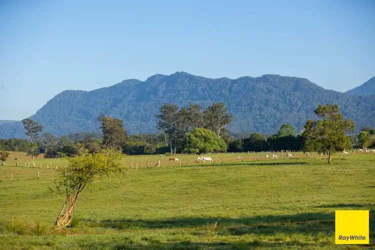 1531 Waterfall Way, Bellingen NSW 2454