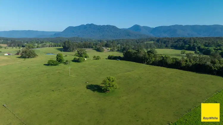 Fifth view of Homely rural property listing, 1531 Waterfall Way, Bellingen NSW 2454