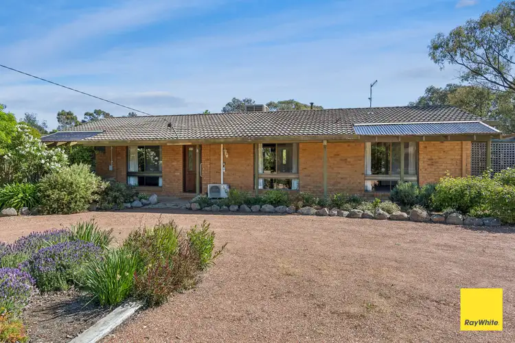 8 Forest Drive, Ascot VIC 3551