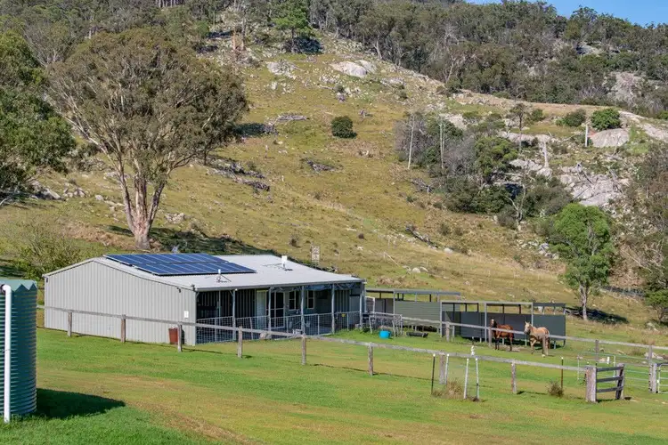 Fourth view of Homely rural property listing, 337 Mount Mackenzie Road, Tenterfield NSW 2372