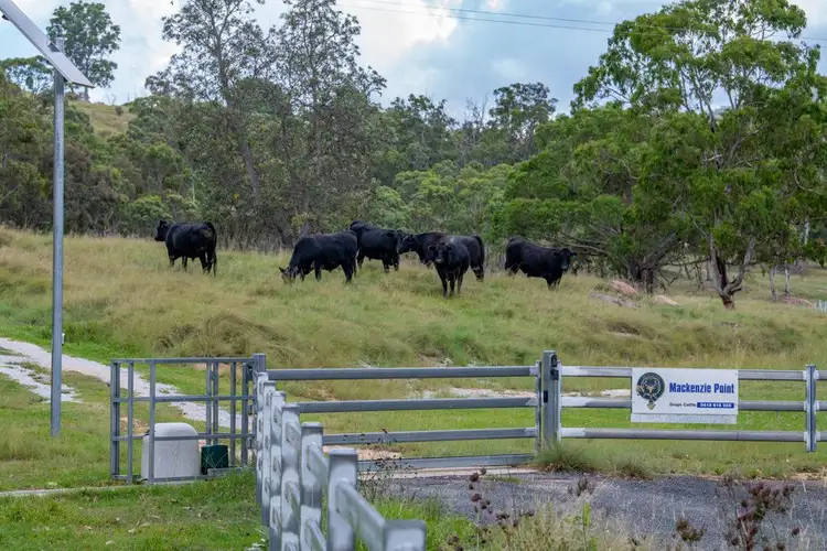 Sixth view of Homely rural property listing, 337 Mount Mackenzie Road, Tenterfield NSW 2372