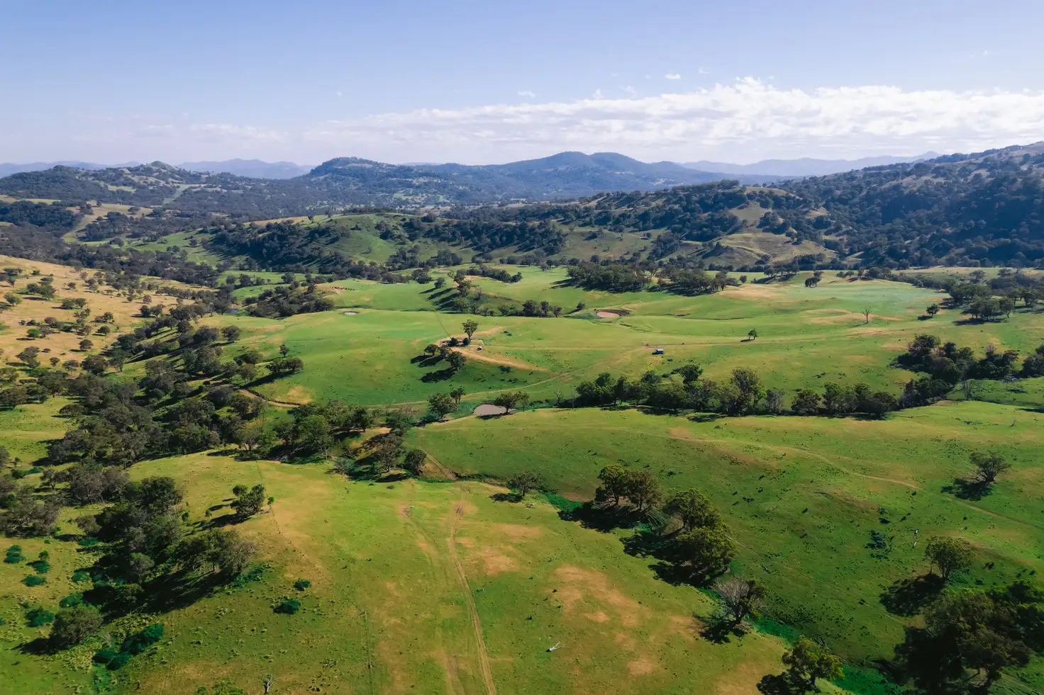 Main view of Homely rural property listing, 7390 New England Highway, Willow Tree NSW 2339