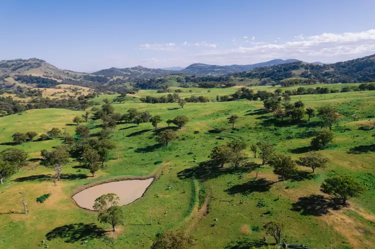 Second view of Homely rural property listing, 7390 New England Highway, Willow Tree NSW 2339
