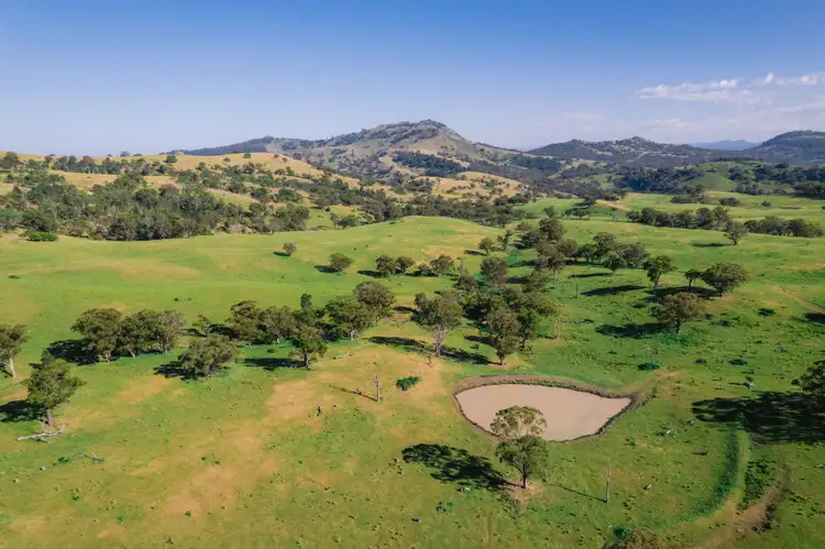 Fourth view of Homely rural property listing, 7390 New England Highway, Willow Tree NSW 2339