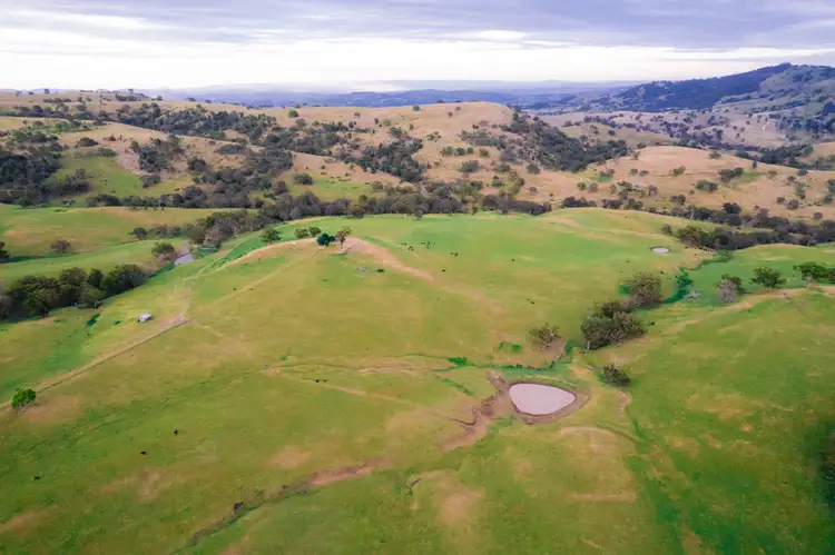 Fifth view of Homely rural property listing, 7390 New England Highway, Willow Tree NSW 2339