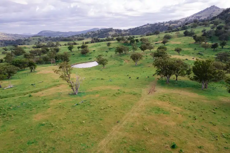 Sixth view of Homely rural property listing, 7390 New England Highway, Willow Tree NSW 2339