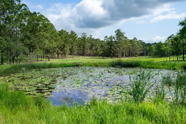 Sixth view of Homely rural property listing, 239 Parsons Road, Coondoo QLD 4570