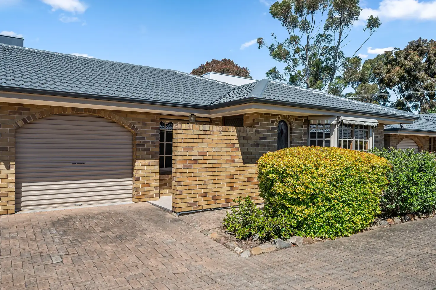 Main view of Homely unit listing, 2/47 Albion Terrace, Campbelltown SA 5074