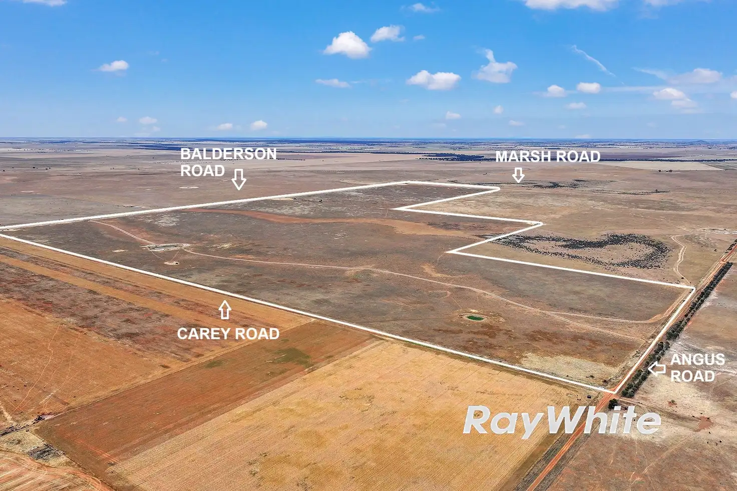 Main view of Homely rural property listing, _ Carey Road, Patho VIC 3564