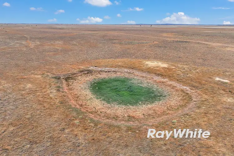 Third view of Homely rural property listing, _ Carey Road, Patho VIC 3564