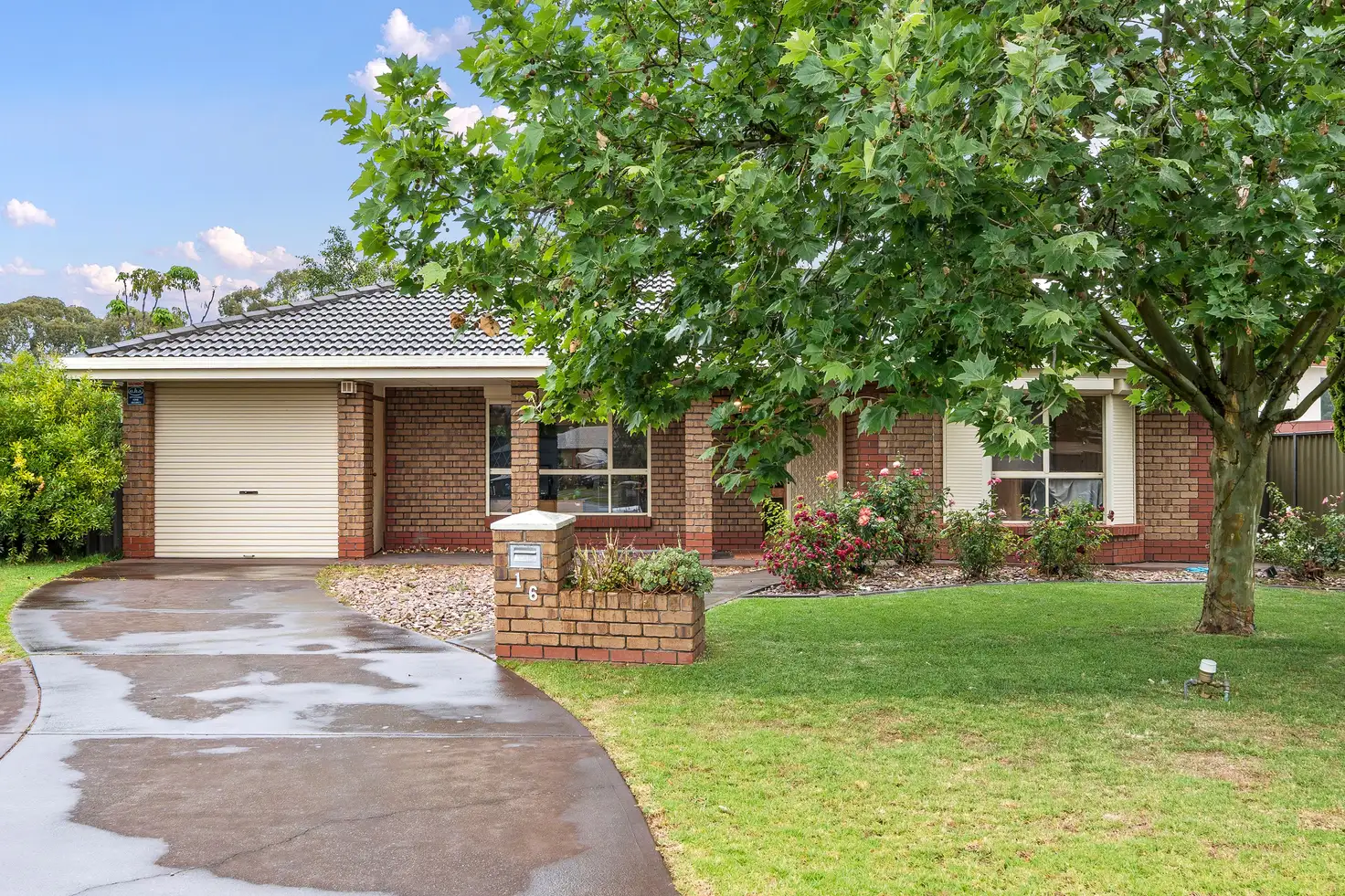Main view of Homely house listing, 16 Carnation Court, Parafield Gardens SA 5107