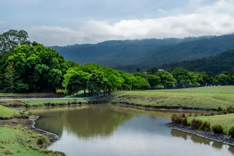 Second view of Homely rural property listing, 2567 Beaudesert Nerang Road, Benobble QLD 4275