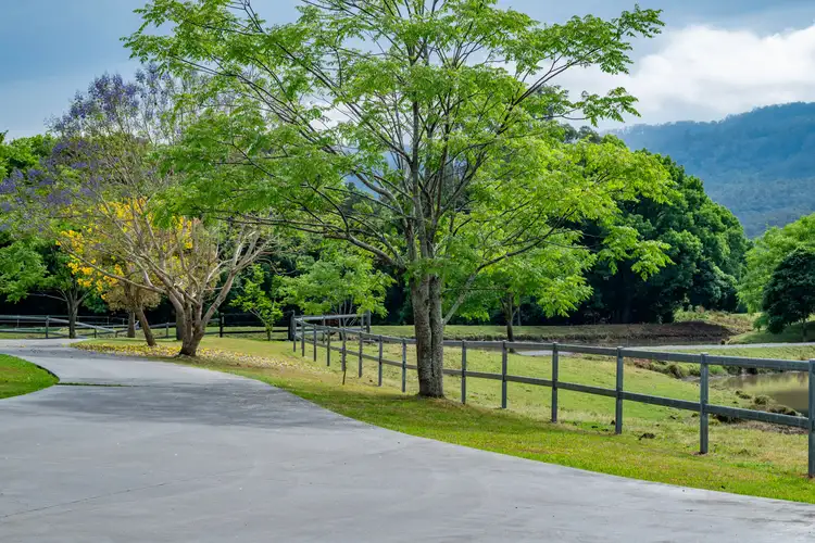 Fifth view of Homely rural property listing, 2567 Beaudesert Nerang Road, Benobble QLD 4275