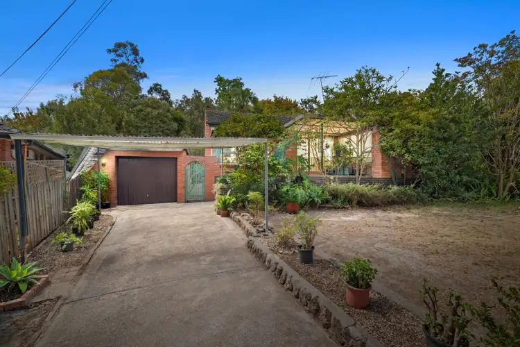 55 Evelyn Road