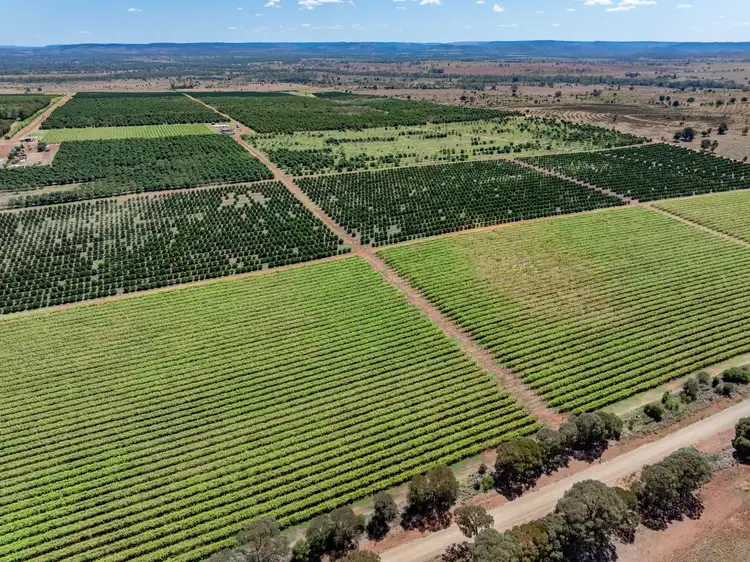 Lot 85 Glenrae Dip Road