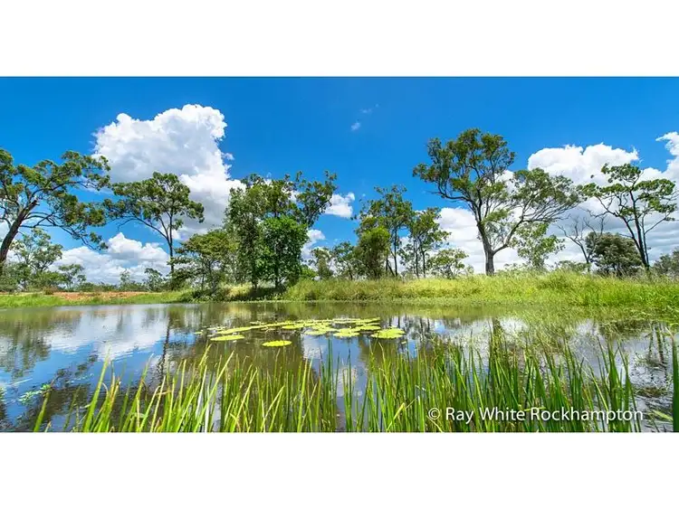 Third view of Homely rural property listing, 32 Colliver Road, Alton Downs QLD 4702
