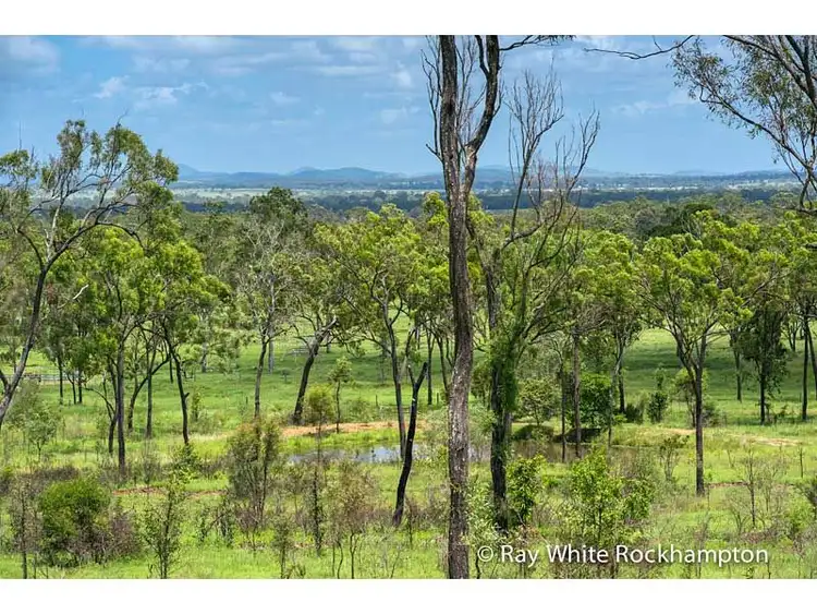 Fifth view of Homely rural property listing, 32 Colliver Road, Alton Downs QLD 4702