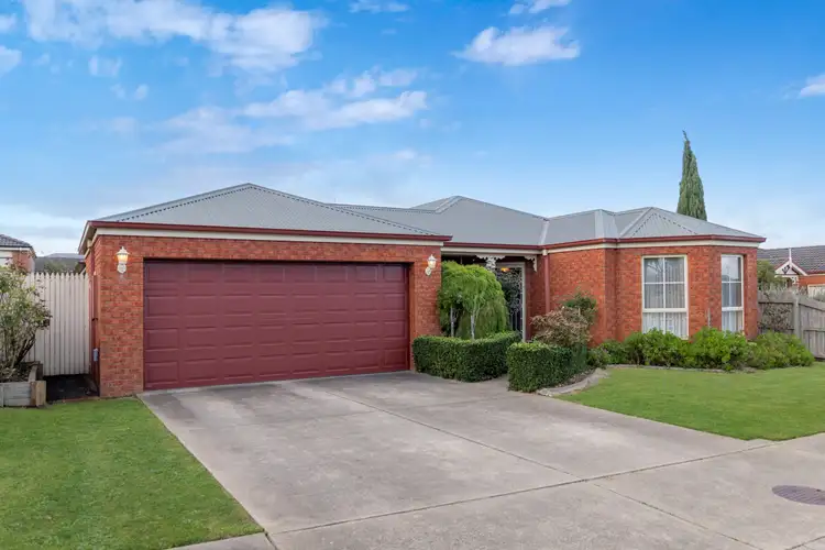98 Balmoral Road