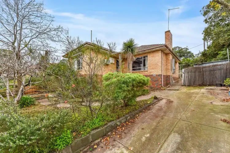 18 Willow Street