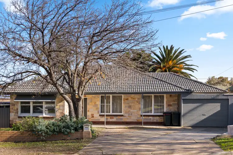 37 Maidos Grove