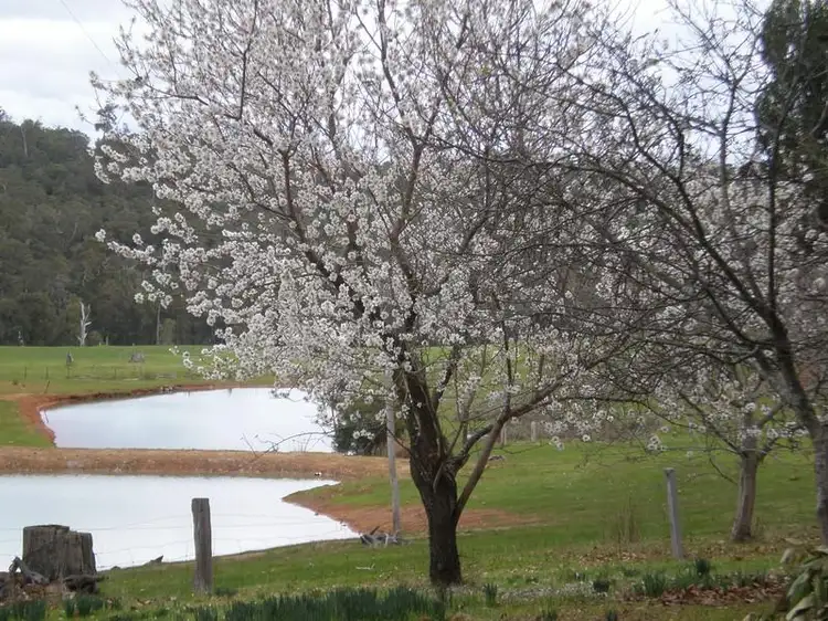 Main view of Homely house listing, Lot 21 Mckittrick Rd, Nannup WA