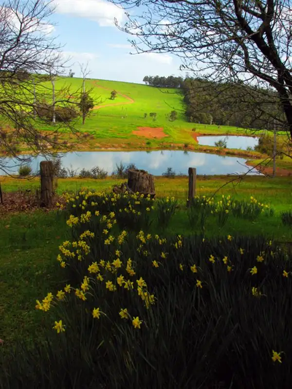 Fourth view of Homely house listing, Lot 21 Mckittrick Rd, Nannup WA