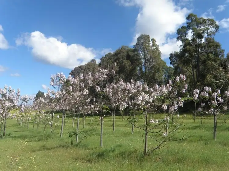 Third view of Homely house listing, Lot 39 Melaleluca Pl, Nannup WA