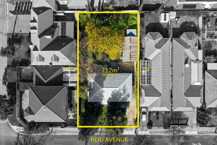 12 Reid Avenue