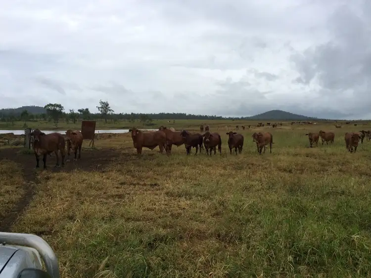 Second view of Homely rural property listing, Address available on request