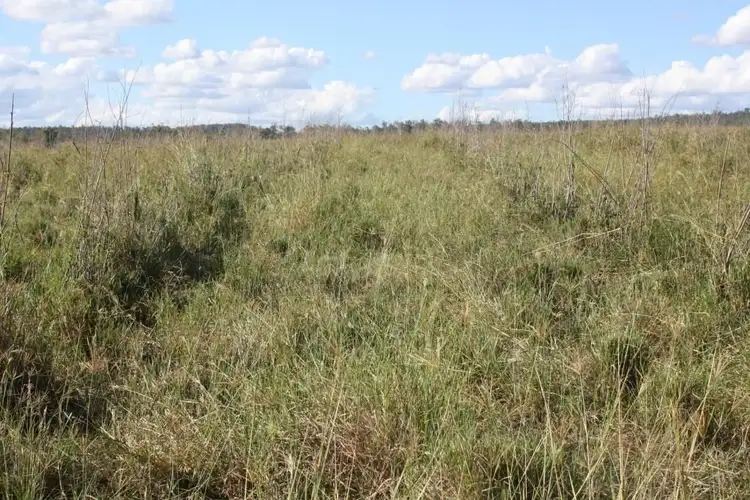 Fourth view of Homely rural property listing, Address available on request