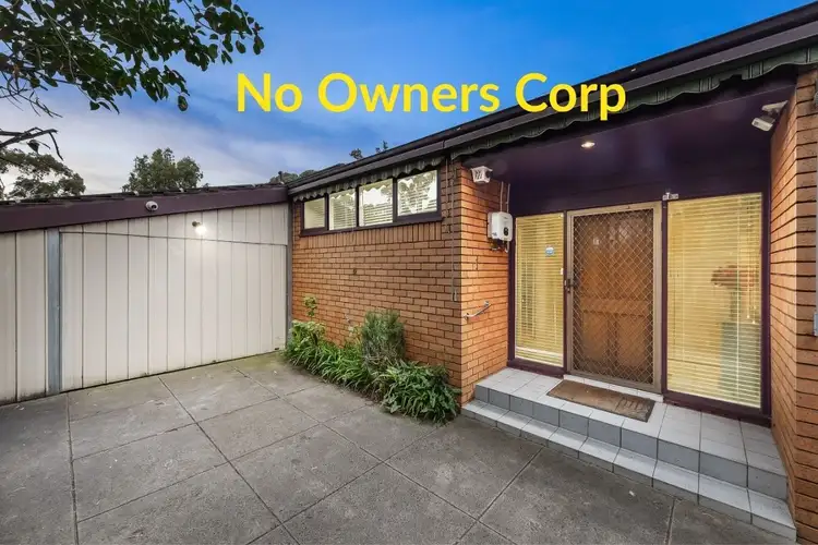 1 Amber Grove