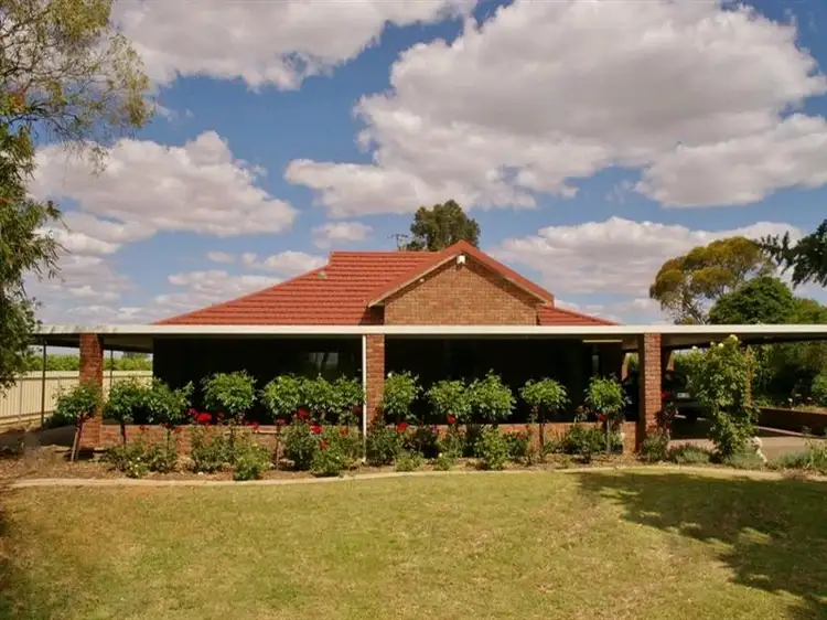 214 Paroo St, Renmark SA