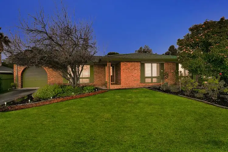 19 Andrea Street, Highbury SA 5089