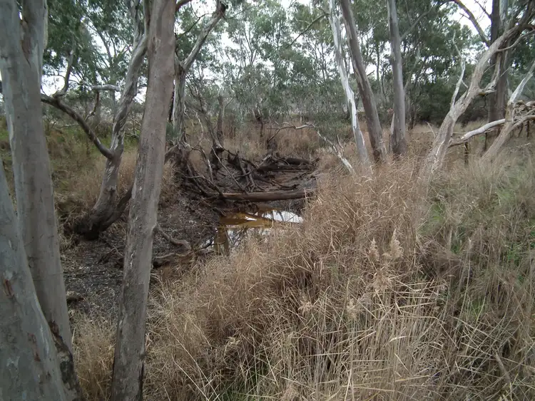 Third view of Homely land listing, Lot 16 Moran Court, Graytown VIC 3608