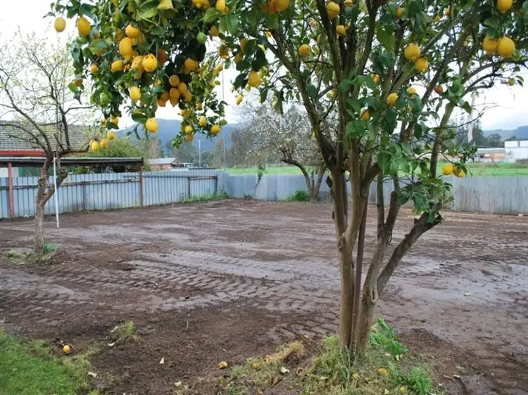 Third view of Homely house listing, 234 Myrtle St, Myrtleford VIC
