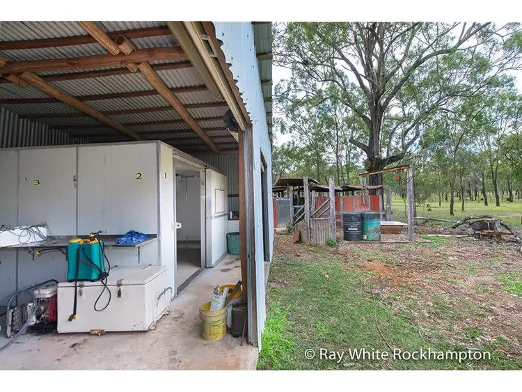 Fifth view of Homely rural property listing, 272 Raspberry Creek Road, Kunwarara QLD 4702