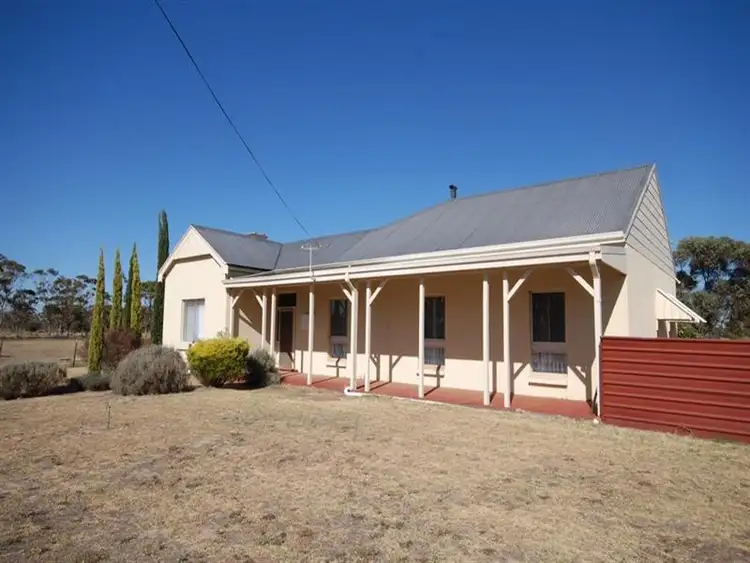 Main view of Homely house listing, 13 Tudor St, Wagin WA