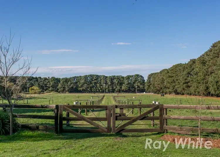 Sixth view of Homely rural property listing, 50 Graydens Road, Tyabb VIC 3913