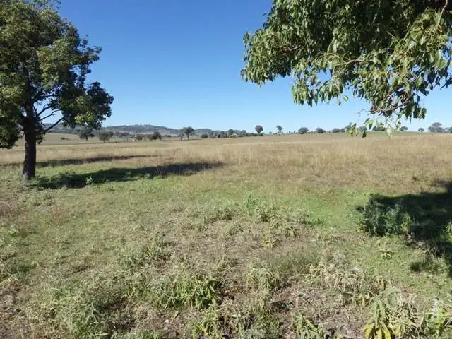 Lot 2/594 Pine Mount Road, Cowra NSW 2794