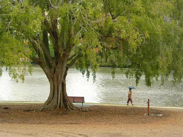 Seventh view of Homely apartment listing, 24/22 Little Jane St, West End QLD